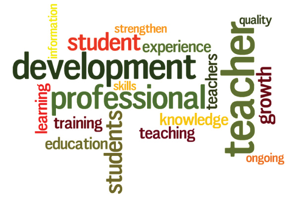 Professional Development for Educators